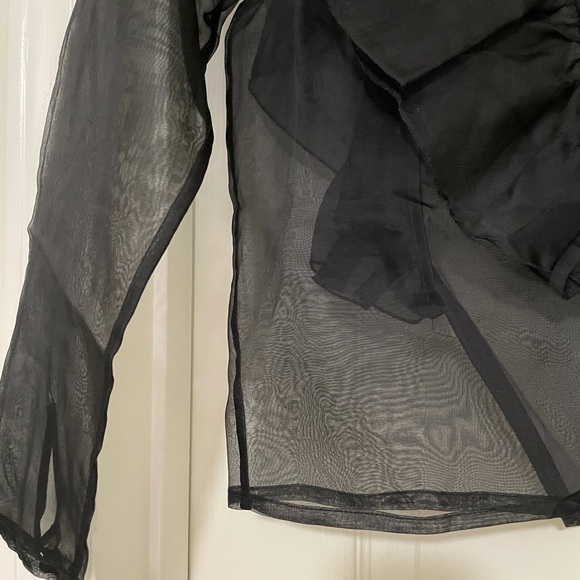 Stunning Rodebjer organza ruffle blouse 💯% silk. - Picture 14 of 16